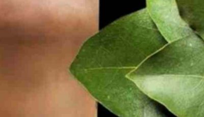 Bay Leaf: The Natural Wrinkle Eraser for Ageless Beauty!