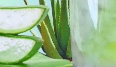 Aloe Vera with Cinnamon: The Home Remedy That Protects Your Health and Vision