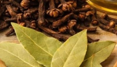 Drink This Every Morning to Gently Boost Your Health: The Warm Clove-Cinnamon-Bay-Ginger Tea