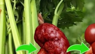 The One Plant That Can Purify Your Blood, Explode Your Energy, and Make Your Skin Look 10 Years Younger