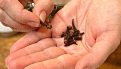 Clear Your Lungs and Stop Coughing in 3 Days! Powerful Clove Remedy for Bronchitis