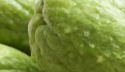 Discover Chayote: The Humble Green Squash That Naturally Transforms Your Health