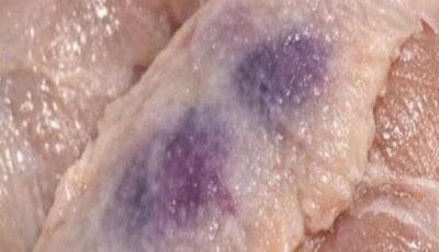 Purple Blotches on Thawed Chicken Breasts: Is It Safe to Cook or Should You Throw It Away?