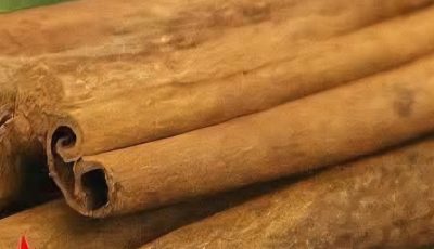 Aloe Vera with Cinnamon: The Home Remedy That Protects Your Health and Vision
