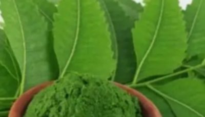 Discover the Power of the Leaf That Will Transform Your Health!