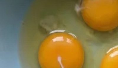 What Is That White Strand in Eggs? (It’s Not What You Think!)