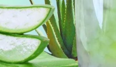 Aloe Vera with Cinnamon: The Home Remedy That Protects Your Health and Vision