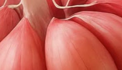 What Happens to Your Body When You Eat Raw Garlic Before Bed Every Night