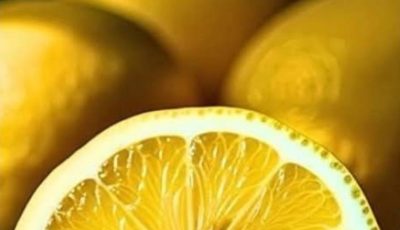 Japanese Longevity Secrets: What the Oldest Doctors in Japan Eat Every Day to Stay Young and Strong