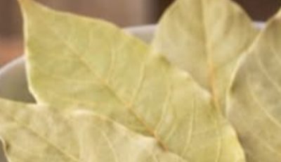 Natural Herbal Infusion with Oregano Poleo, Bay Leaves & Guava