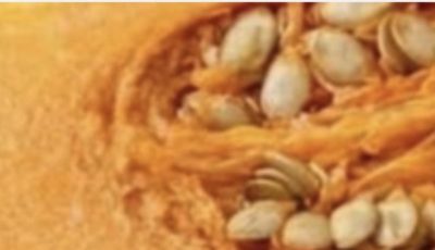 Homemade Pumpkin Remedies for High Blood Sugar