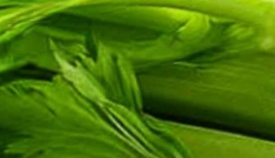 Cleanses the Liver 150 Times More Powerful Than Garlic and Lemon: Grandma’s Miracle Recipe