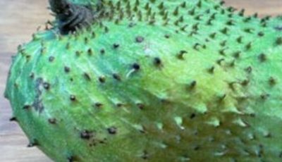 Get Ready to Indulge in the Exotic Goodness of Soursop!