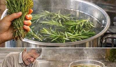 Le Romarin : Une Plante Médicinale Puissante pour Soulager la Douleur et Améliorer la Santé Naturellemen