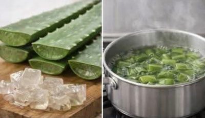 DIY Aloe Vera Oil: The Natural Secret to Faster Hair Growth and Less Hair Loss