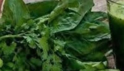 Gut-Friendly Green Drinks: The Daily Wellness Habit Supporting Digestion, Liver Health, and Healthy Aging