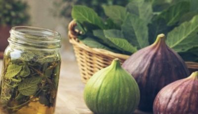 The Power of Fig Leaves: Hidden Benefits in These Overlooked Leaves That Could Transform Your Wellness Routine