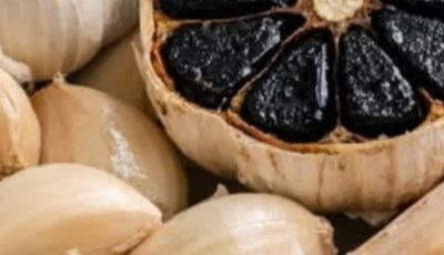 Garlic Kills 14 Types of Bacteria: The Natural Antibiotic You Need to Know