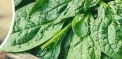 they say that health begins in the intestine