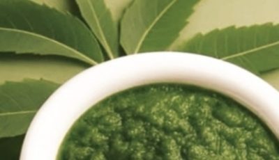 1 Leaf That May Help Manage Diabetes, Blood Pressure, Body Pain, Cholesterol, and Poor Circulation