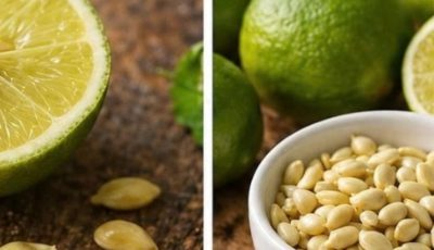 Don’t Throw Away Lemon Seeds: The Natural Treasure Almost Everyone Wastes