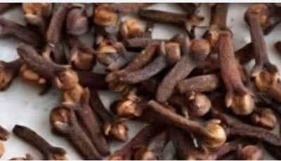 Discover the Surprising Benefits of Cloves for Belly Health