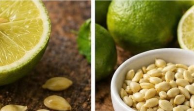 Don’t Throw Away Lemon Seeds: The Natural Treasure Almost Everyone Wastes
