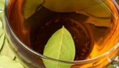 Bay Leaf Tea: Benefits and How to Prepare It