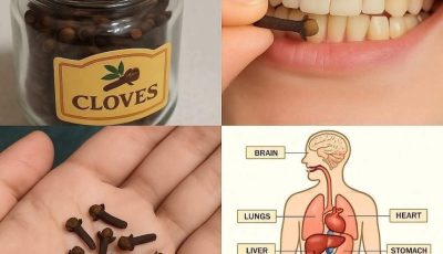 Chewing Cloves Daily: A Tiny Habit with Big Benefits for Your Body